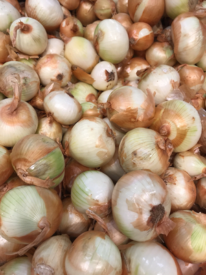 Onions are in raw
