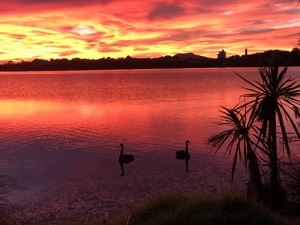 impressive sunrise at lake pupuke
