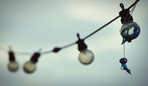 Hanging lightbulbs