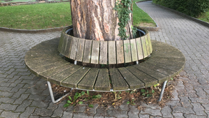The round bench under the tree