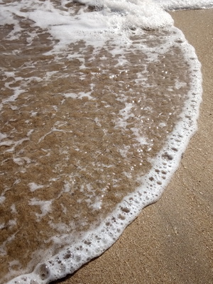 Wave on seashore beach