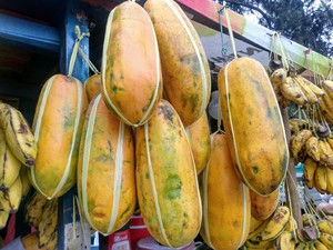 A Papaya Display
