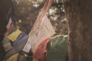 Prayer flags in the woods