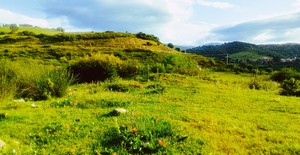 Hills landscape