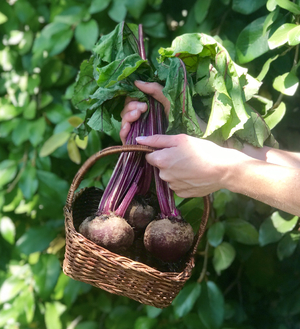 A woman holding beets