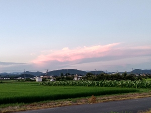 A Countryside View In Sunset