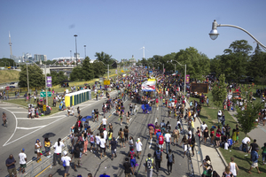 A crowd of people attending the Caribana Parade