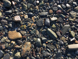 Close up of rocks on the ocean floor