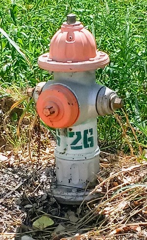 Country Fire Hydrant of Arizona