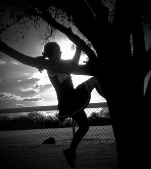 Silhouette of girl climbing tree