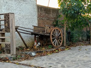 An Old Cart In The Corner