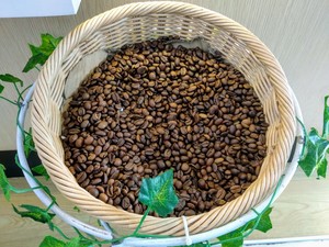 A Basket Of Sumatra Arabican Coffee Beans