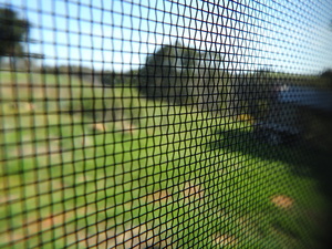 the outside world through a mosquito net and glass