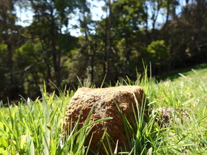 rock in a green grassy field