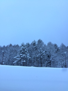 Beautiful snow scene in a mountain of Japan