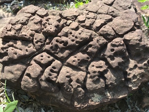 Stone looks like brain. Bounou – Mali