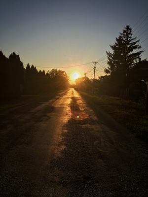 Sunset with road and trees