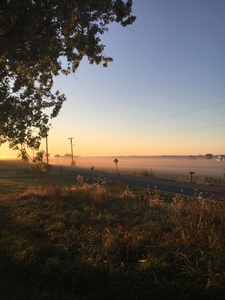 foggy country morning