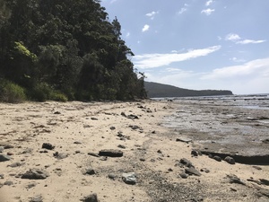 depot beach in national park new south wales