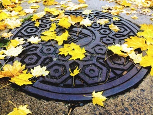 perfectly placed leaves on a manhole