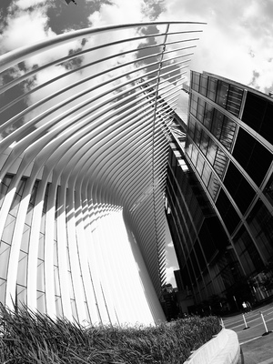 Black and white of the Oculus in Manhattan