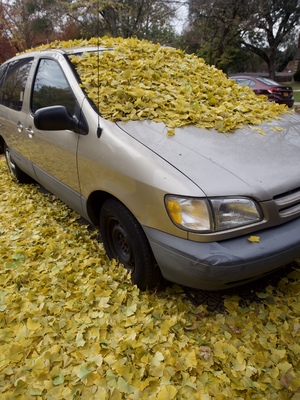 A car covered with autumn leaves.