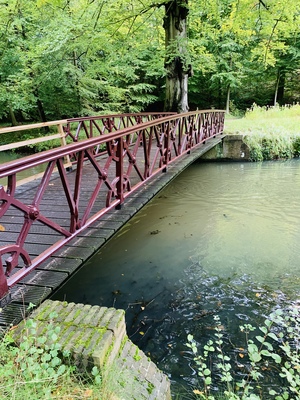 pedestrian bridge in park