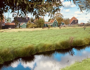 Dutch houses in a field
