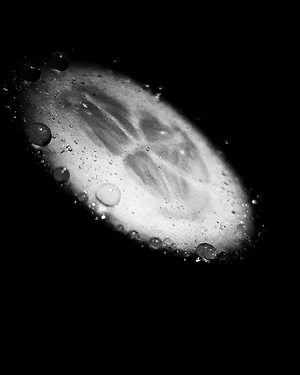 Slice of cucumber with water drops in black & white