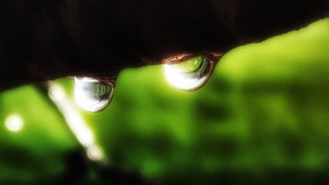 Two drops of rain