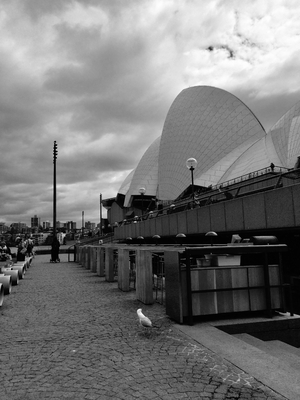 Snapshot of Sydney Opera House