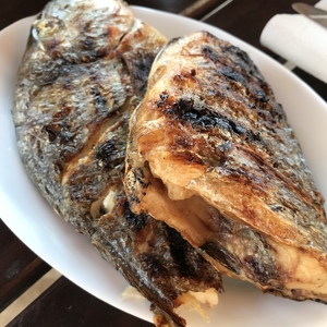 grilled fish on wood fire