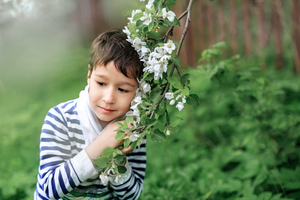 Boy with blooming twig of apple tree