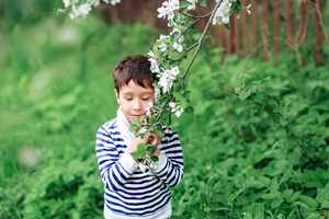 Boy with blooming twig of apple tree