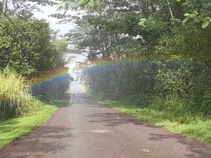 Country road with a rainbow