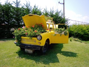Vintage yellow car with flowers decorations