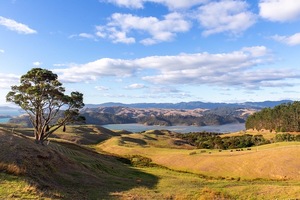 View over The Coromandel, New Zealand