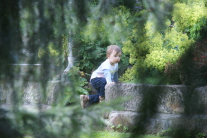Toddle exploring the garden