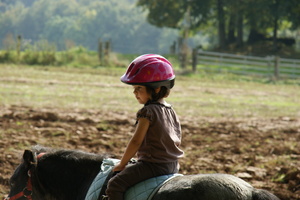 Girl riding a pony