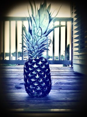Blue pineapple