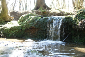 small waterfall in bavarian forest
