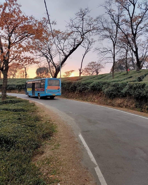Bus on road during sunset