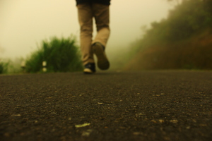 Walking alone in the mist