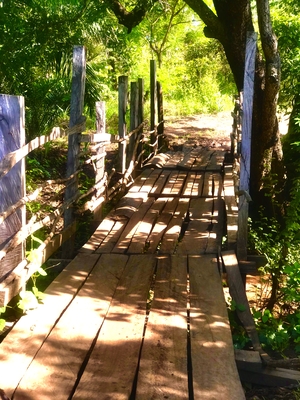 country side wooden bridge