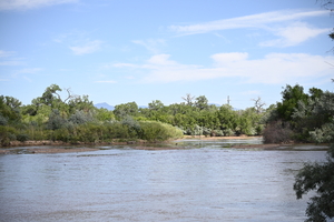 Rio grand in Albuquerque
