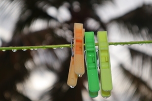 Colourful clips in rain