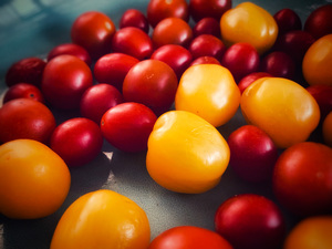 Close up cherry tomatoes