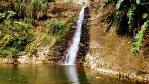 Waterfalls in the nature of beautiful Grenada