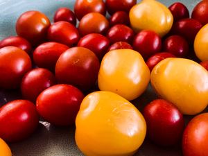 close up cherry tomatoes