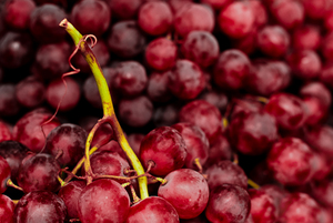 Group of red grapes